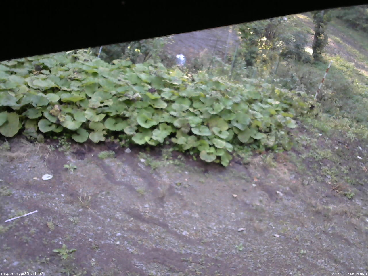長野県菅平高原 ゆたか山荘 駐車場 2025/09/27 06:15