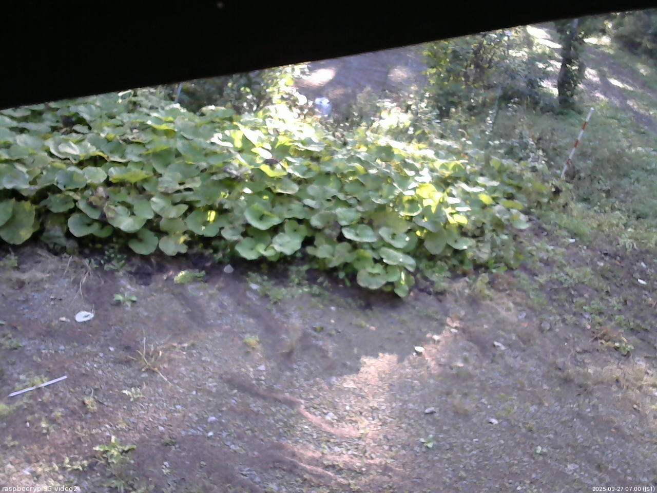 長野県菅平高原 ゆたか山荘 駐車場 2025/09/27 07:00