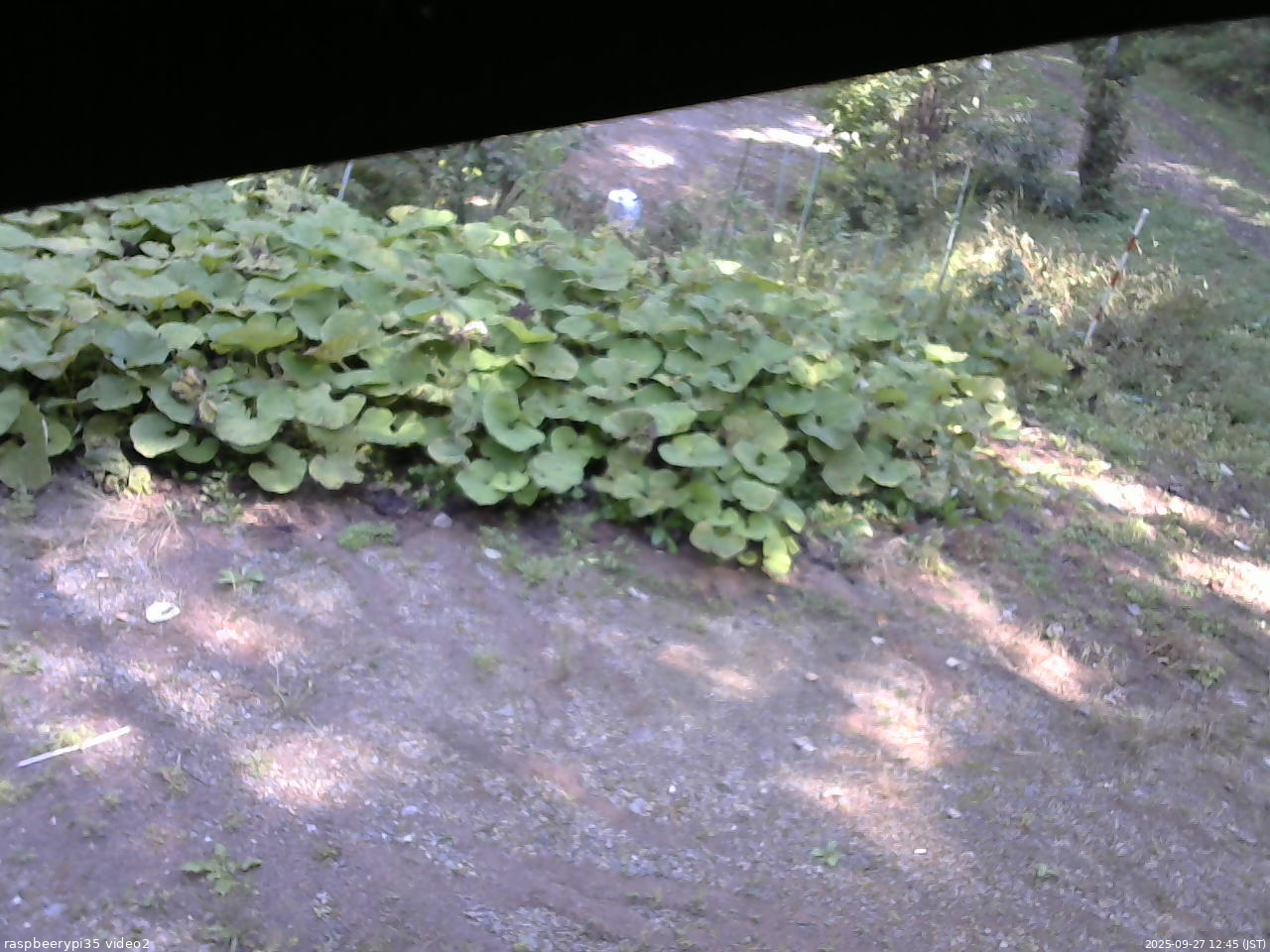長野県菅平高原 ゆたか山荘 駐車場 2025/09/27 12:45