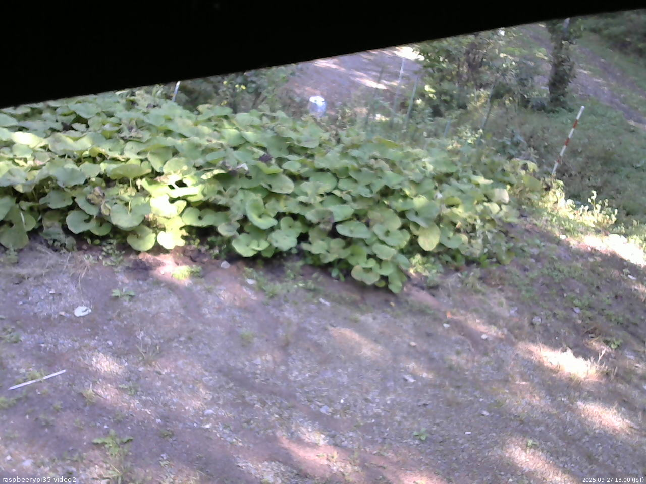 長野県菅平高原 ゆたか山荘 駐車場 2025/09/27 13:00