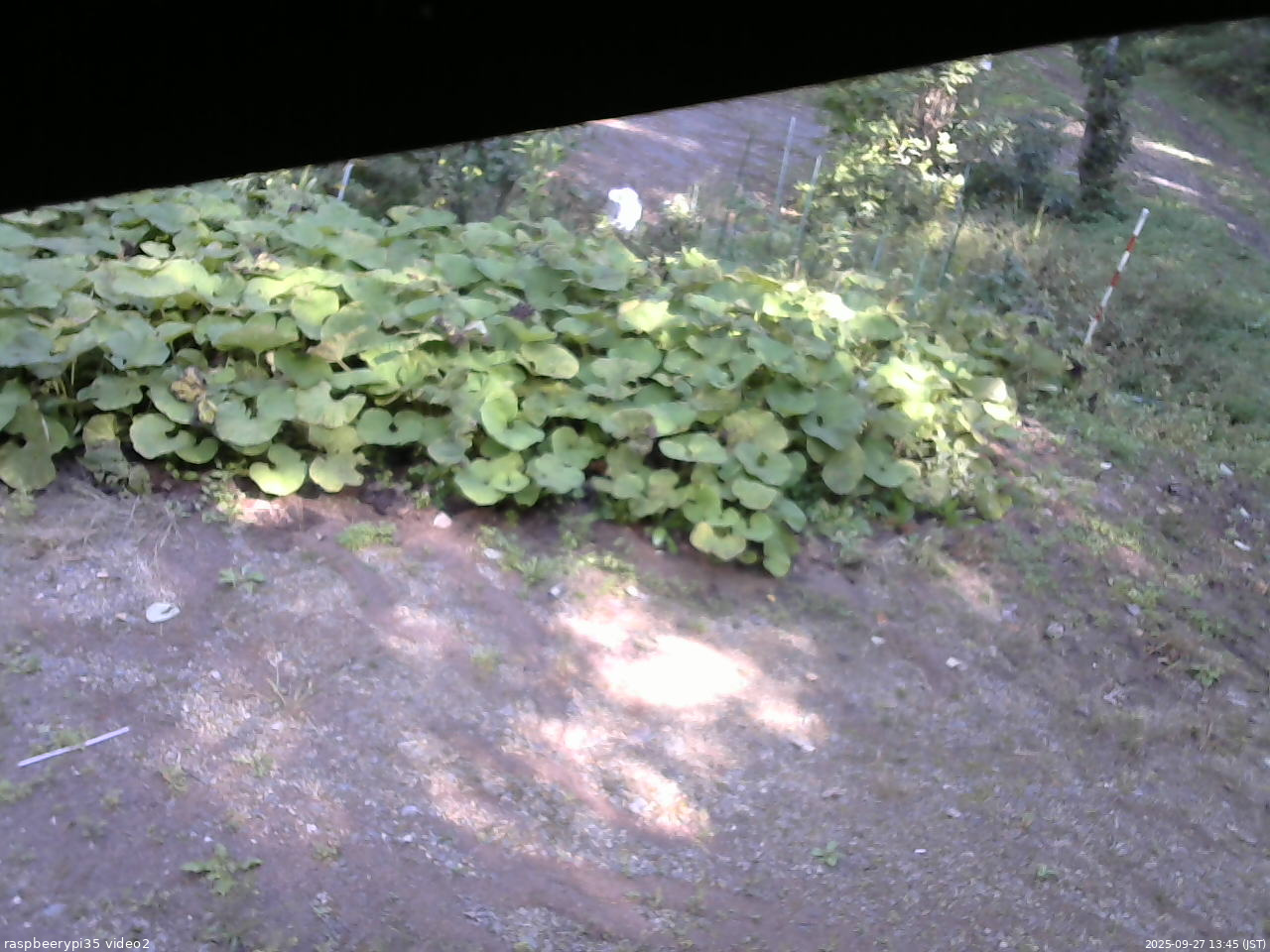 長野県菅平高原 ゆたか山荘 駐車場 2025/09/27 13:45