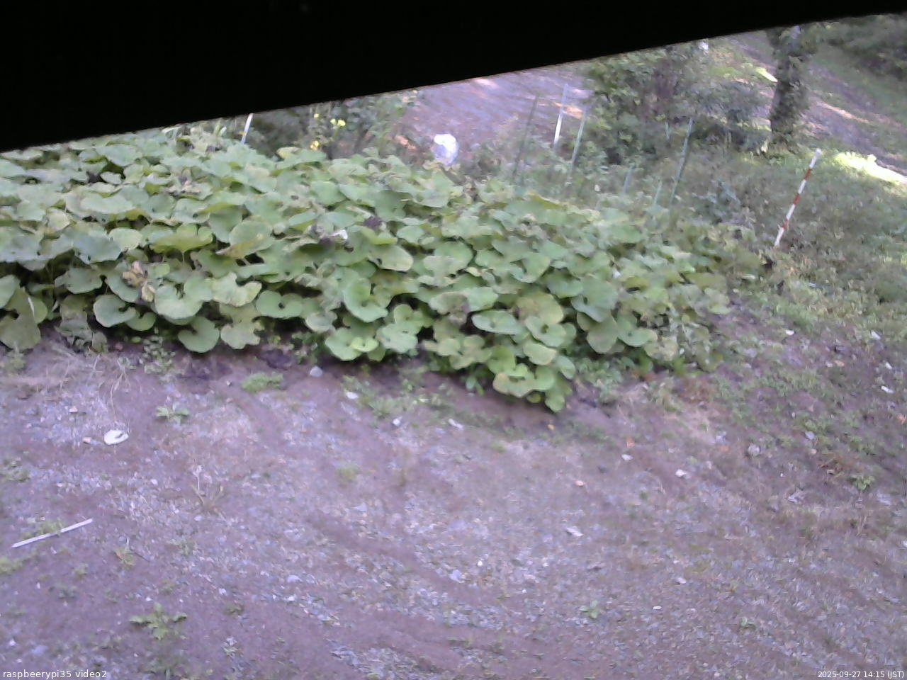 長野県菅平高原 ゆたか山荘 駐車場 2025/09/27 14:15