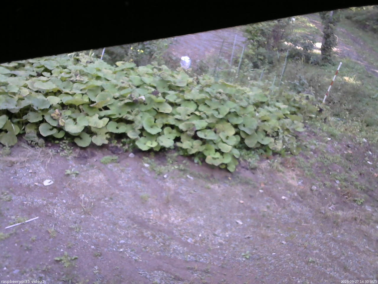 長野県菅平高原 ゆたか山荘 駐車場 2025/09/27 14:30