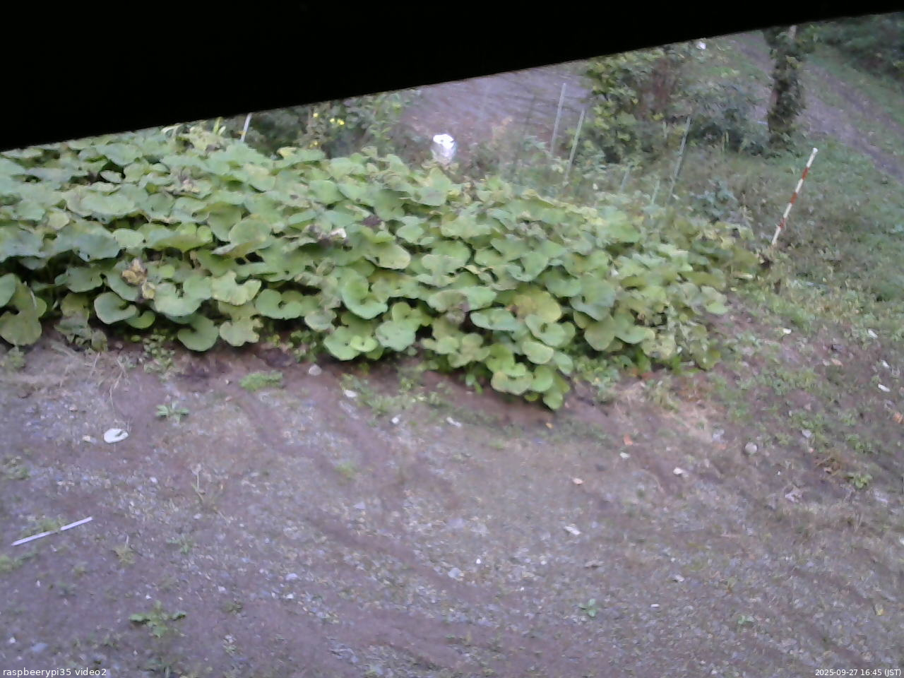 長野県菅平高原 ゆたか山荘 駐車場 2025/09/27 16:45