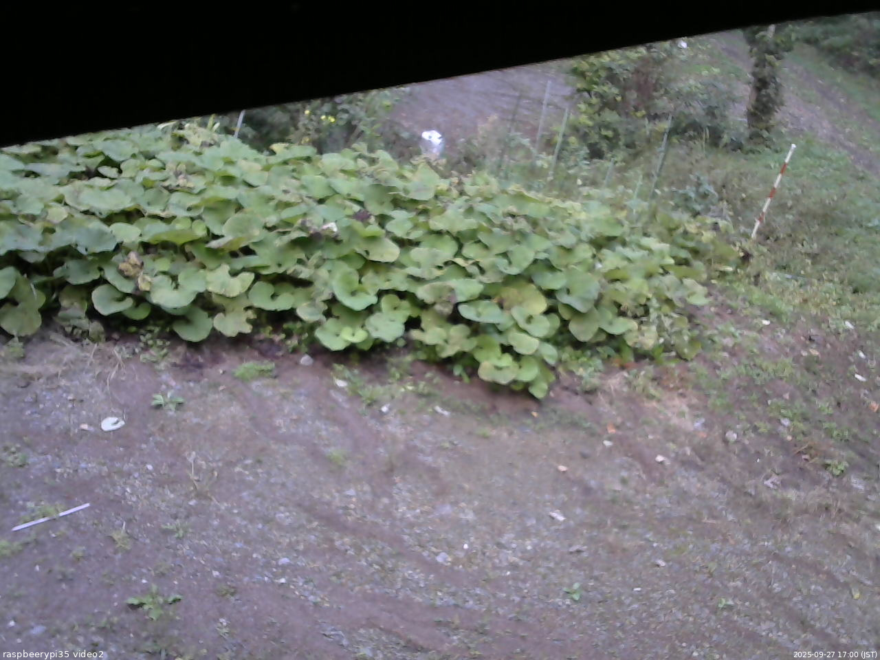 長野県菅平高原 ゆたか山荘 駐車場 2025/09/27 17:00