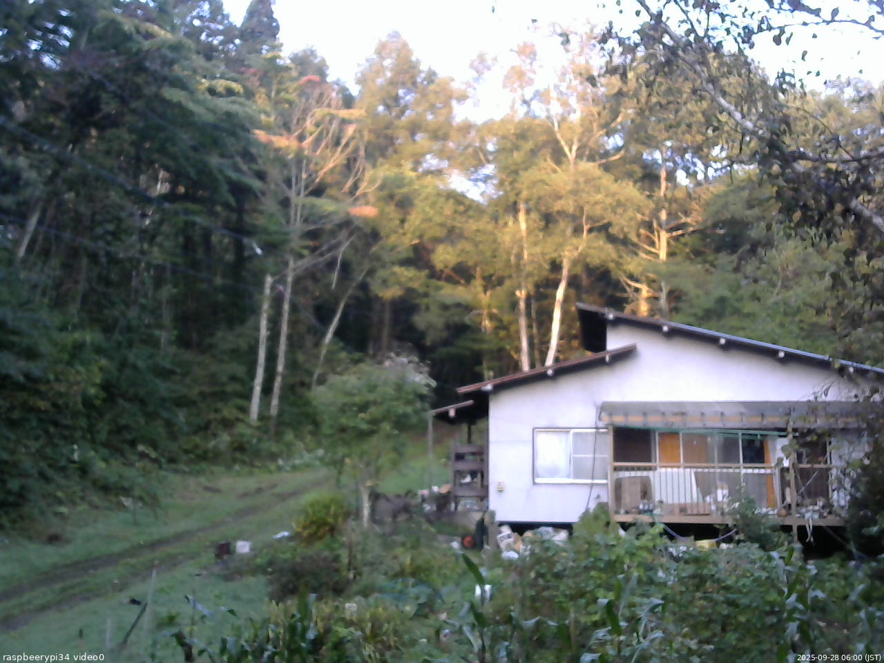 長野県菅平高原 ゆたか山荘 西側(坂上) 2025/09/28 06:00