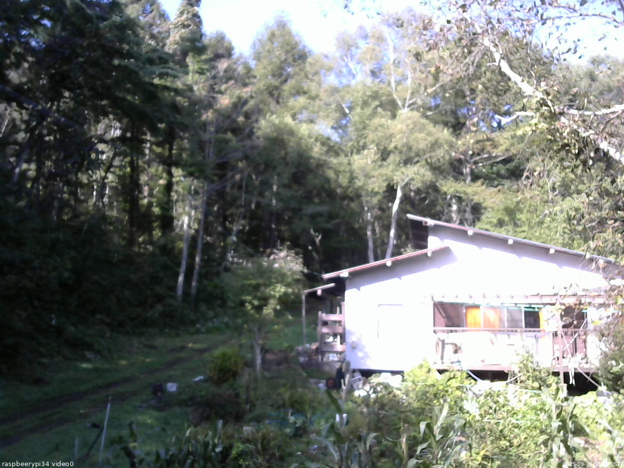 長野県菅平高原 ゆたか山荘 西側(坂上) 2025/09/28 08:30