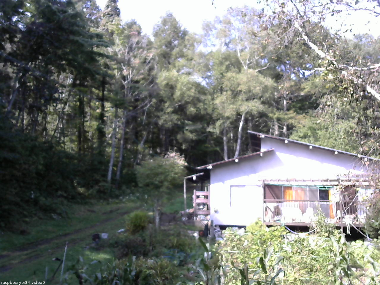 長野県菅平高原 ゆたか山荘 西側(坂上) 2025/09/28 09:30