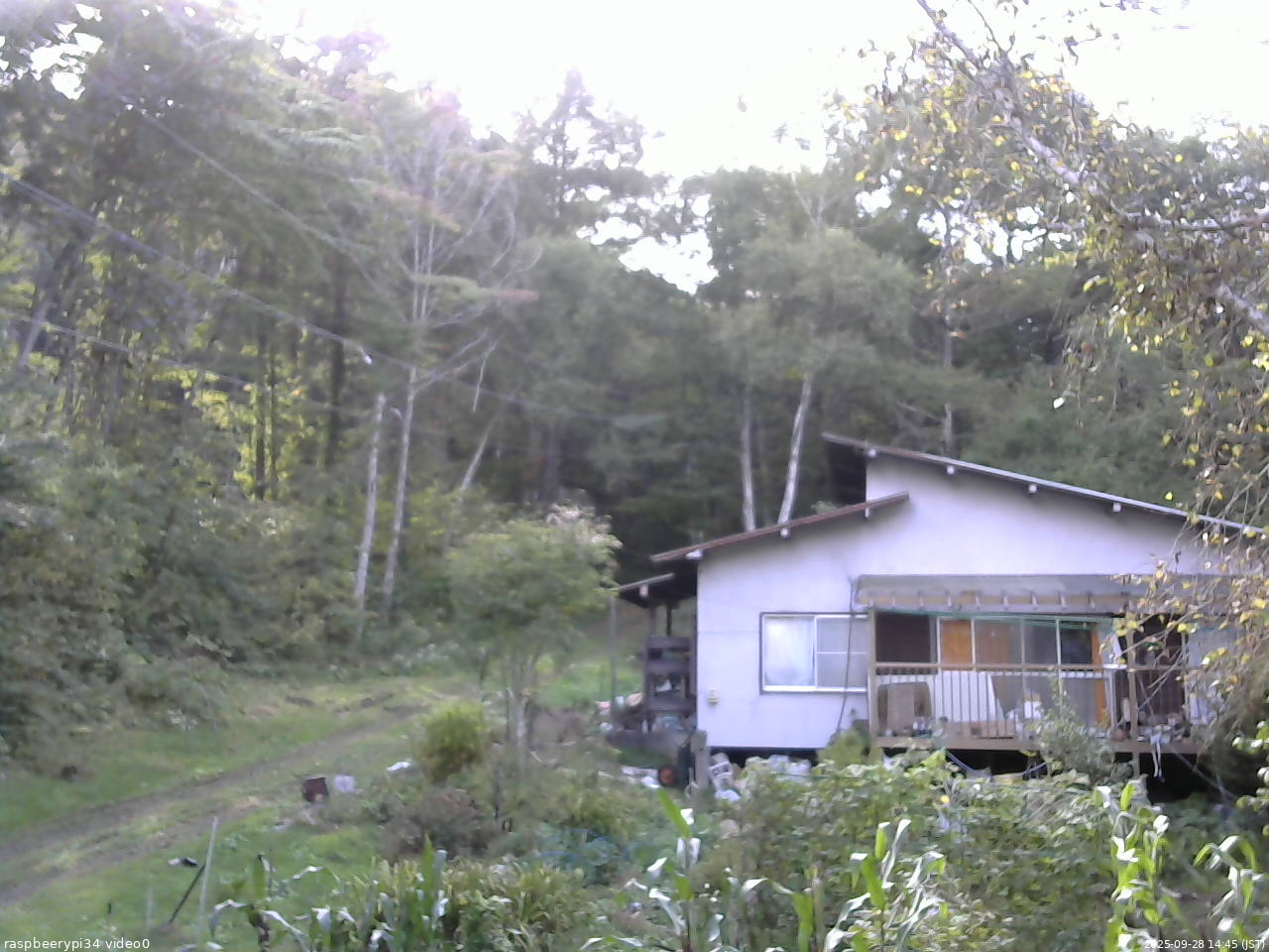 長野県菅平高原 ゆたか山荘 西側(坂上) 2025/09/28 14:45