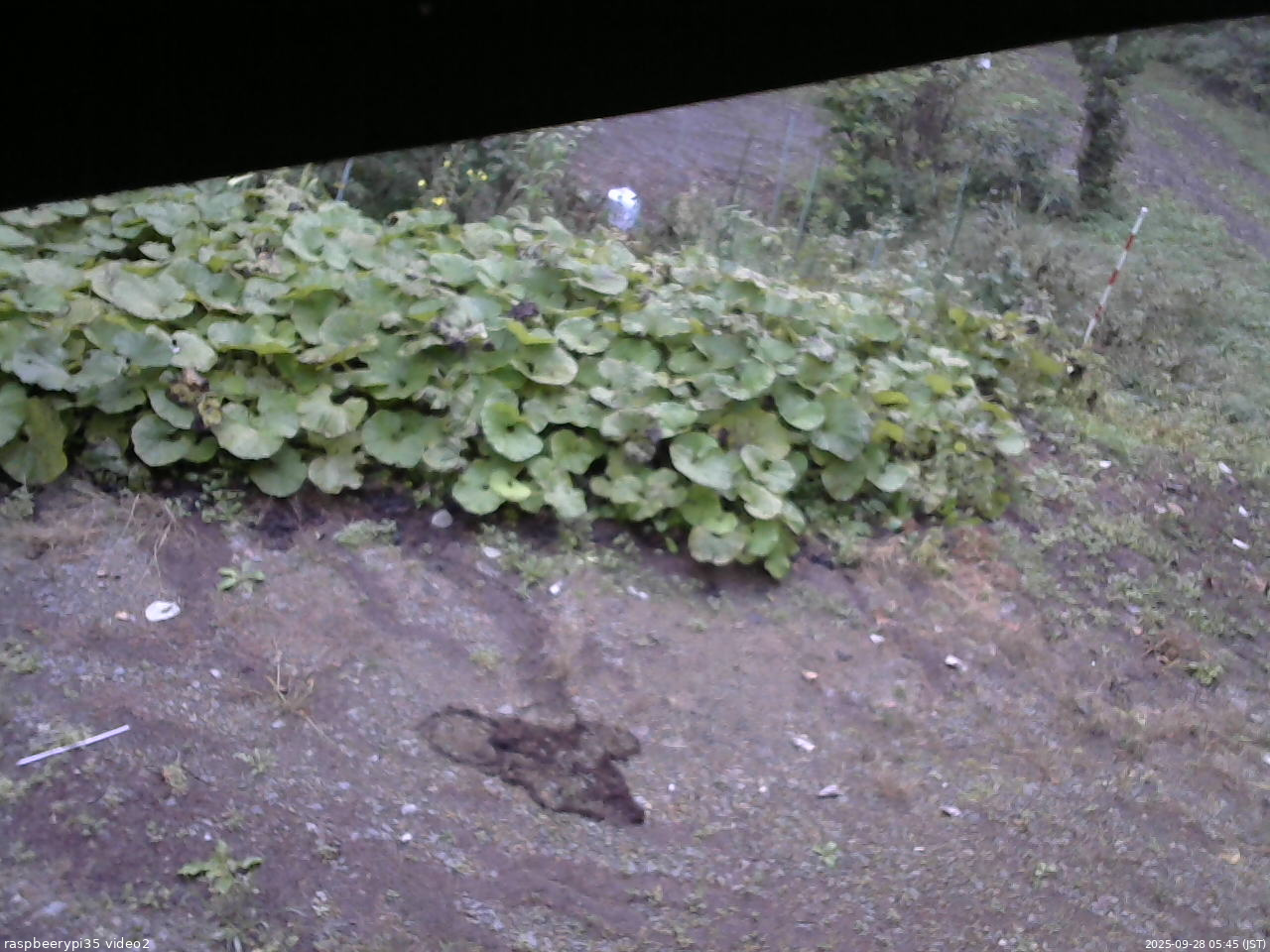 長野県菅平高原 ゆたか山荘 駐車場 2025/09/28 05:45
