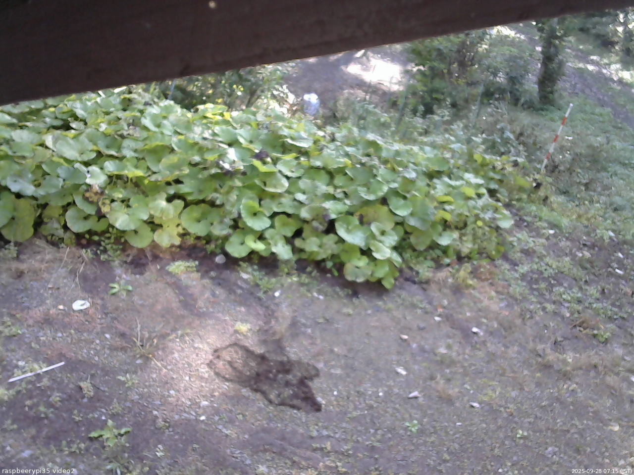 長野県菅平高原 ゆたか山荘 駐車場 2025/09/28 07:15