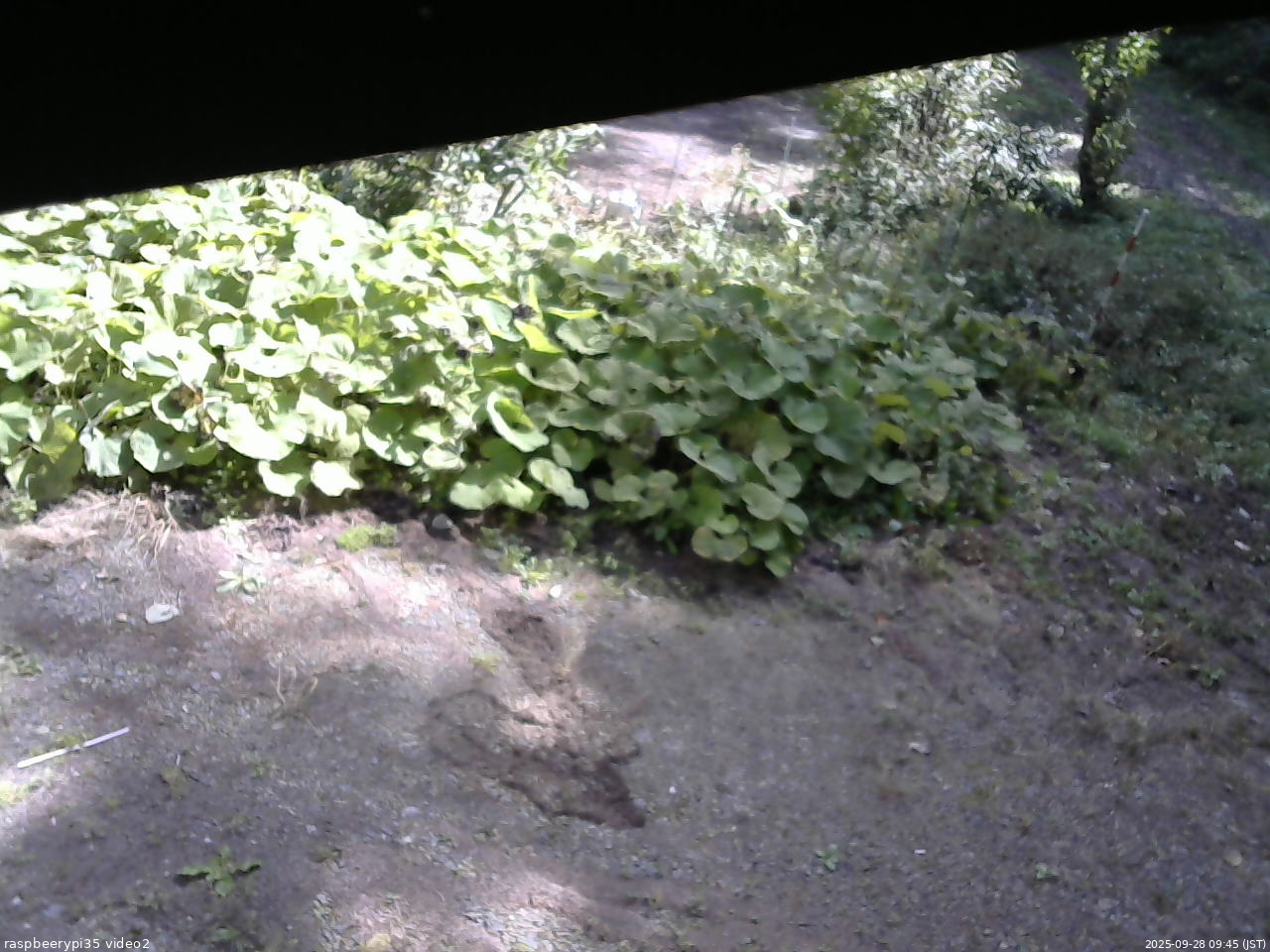 長野県菅平高原 ゆたか山荘 駐車場 2025/09/28 09:45
