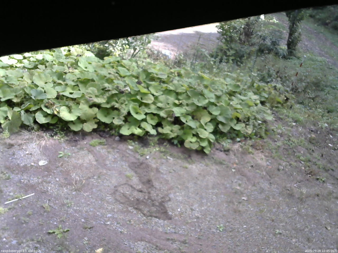 長野県菅平高原 ゆたか山荘 駐車場 2025/09/28 10:45