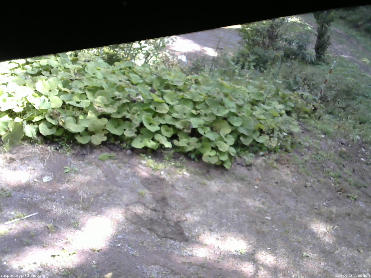 長野県菅平高原 ゆたか山荘 駐車場 2025/09/28 11:00