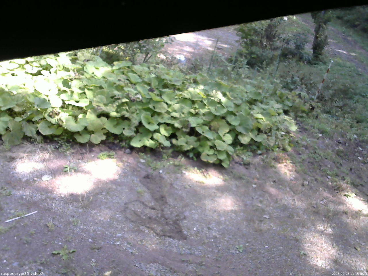 長野県菅平高原 ゆたか山荘 駐車場 2025/09/28 11:15