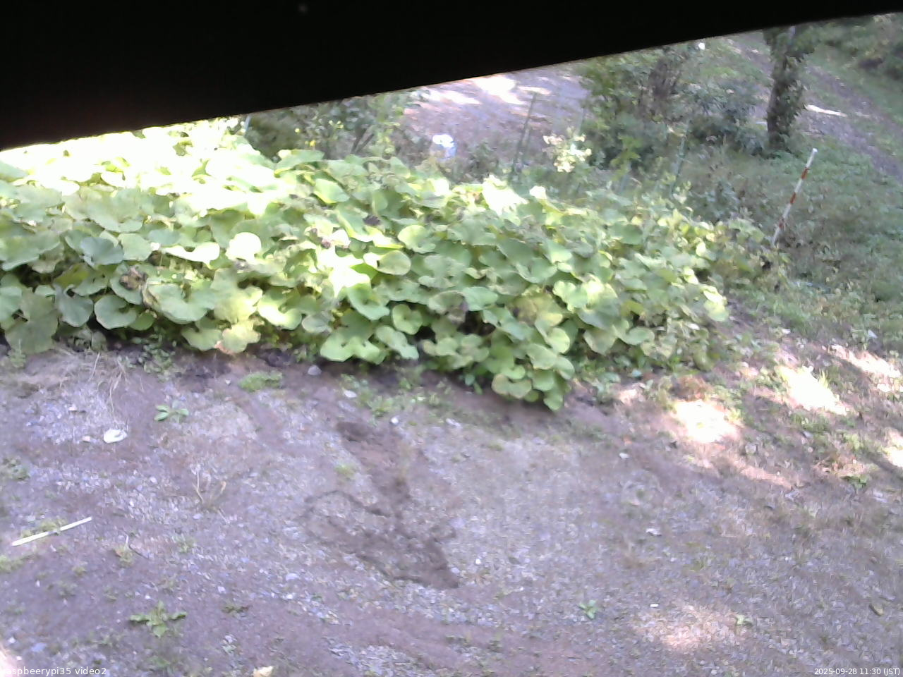 長野県菅平高原 ゆたか山荘 駐車場 2025/09/28 11:30