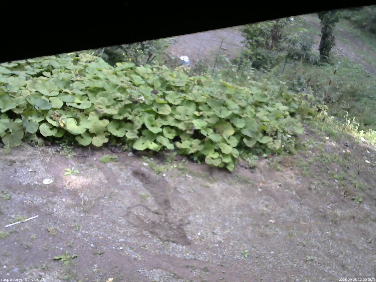 長野県菅平高原 ゆたか山荘 駐車場 2025/09/28 12:00