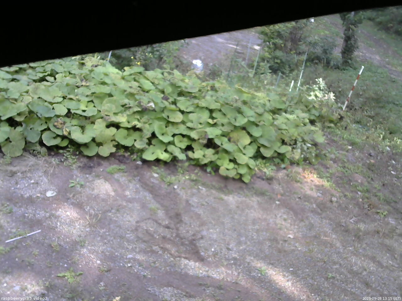 長野県菅平高原 ゆたか山荘 駐車場 2025/09/28 13:15
