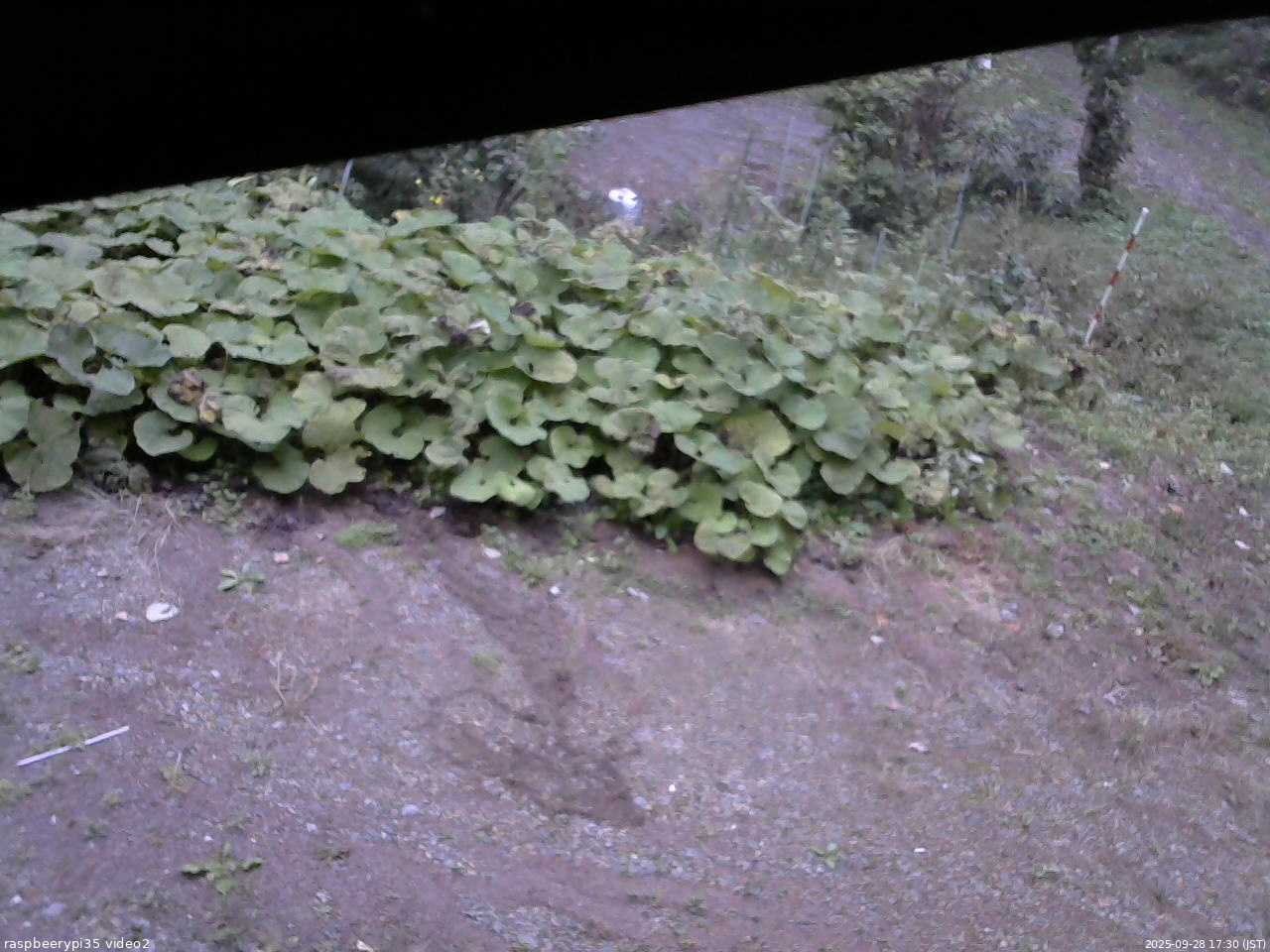 長野県菅平高原 ゆたか山荘 駐車場 2025/09/28 17:30