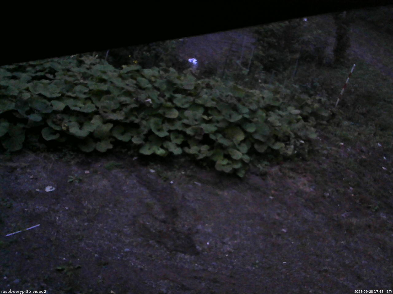 長野県菅平高原 ゆたか山荘 駐車場 2025/09/28 17:45