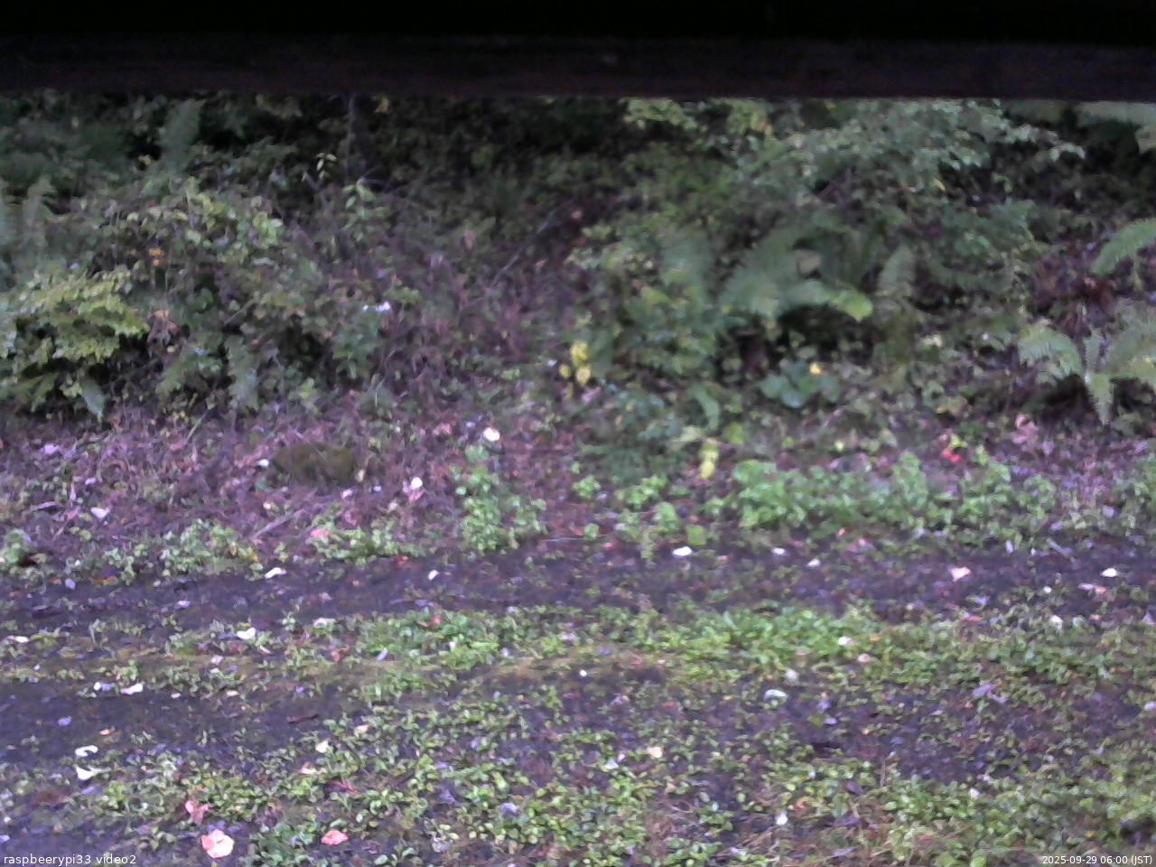 長野県菅平高原 ゆたか山荘 南側 2025/09/29 06:00
