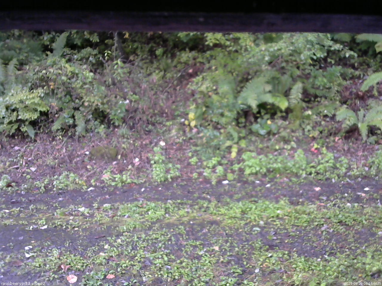 長野県菅平高原 ゆたか山荘 南側 2025/09/29 06:15