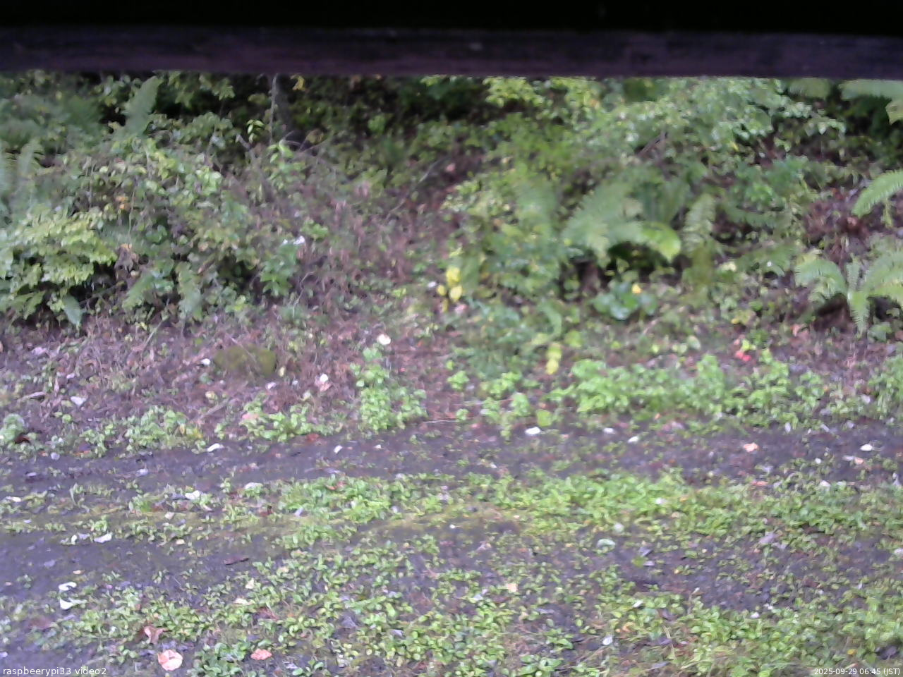 長野県菅平高原 ゆたか山荘 南側 2025/09/29 06:45