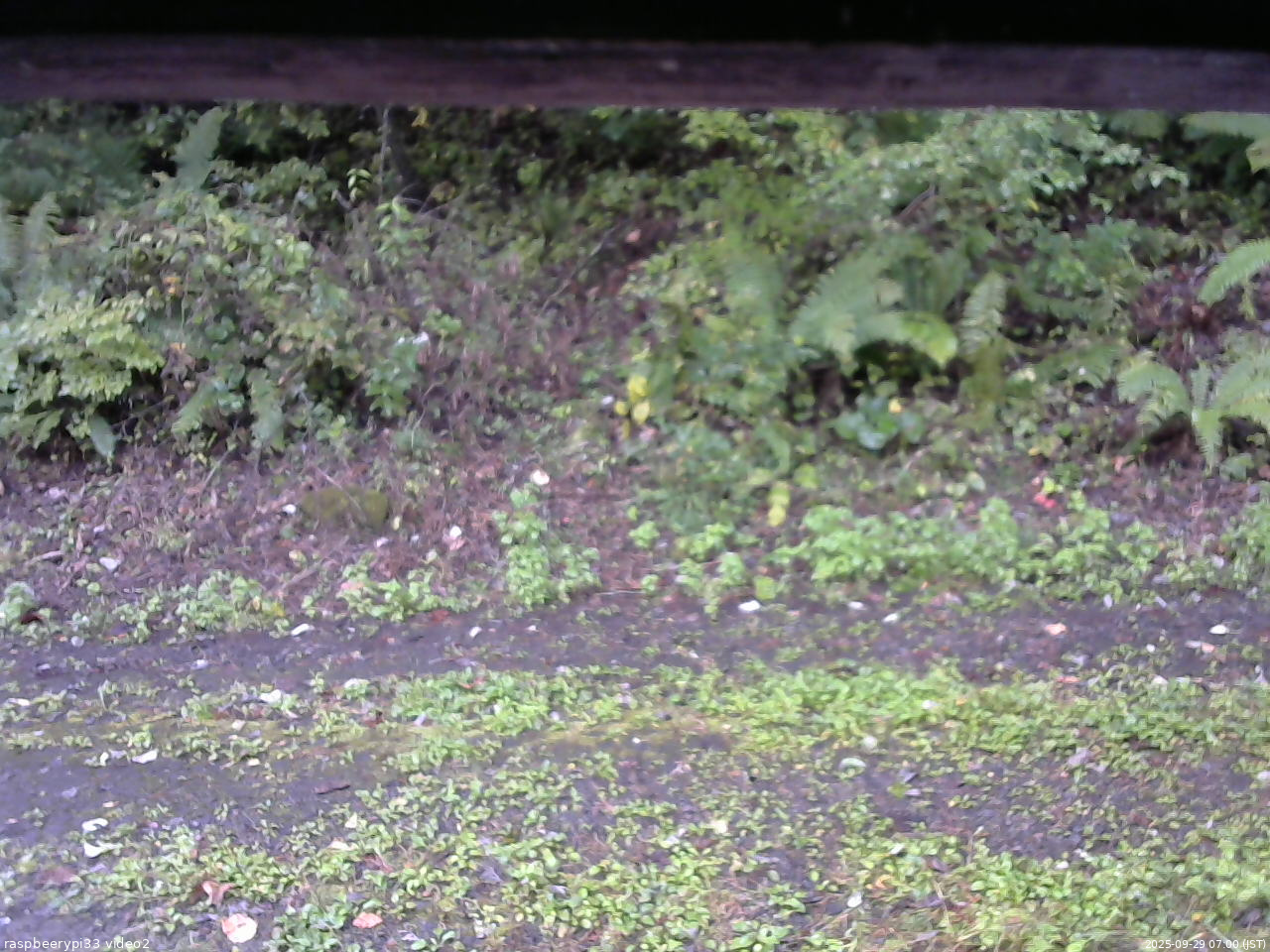 長野県菅平高原 ゆたか山荘 南側 2025/09/29 07:00