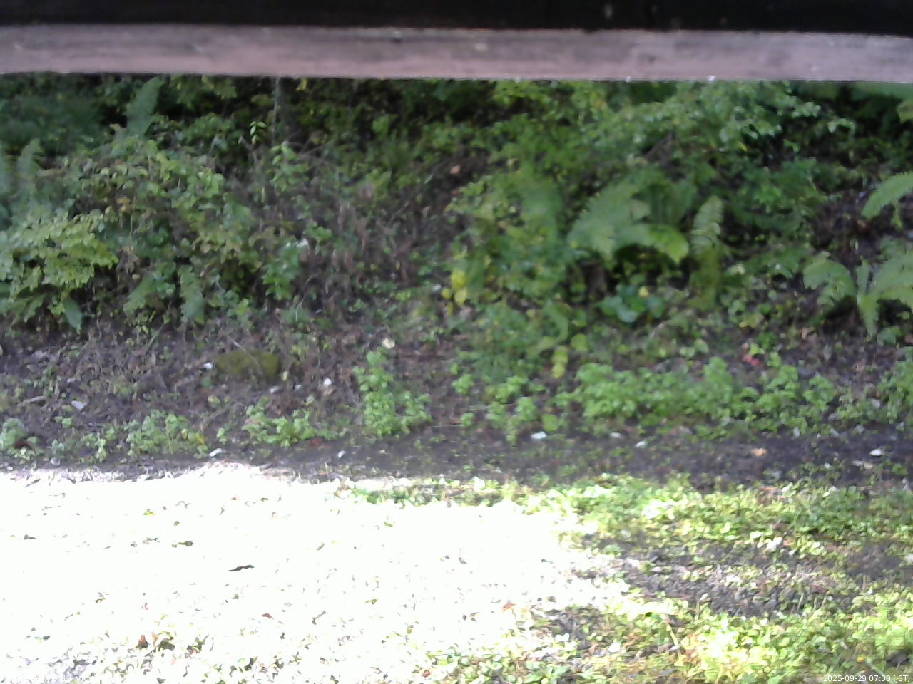 長野県菅平高原 ゆたか山荘 南側 2025/09/29 07:30