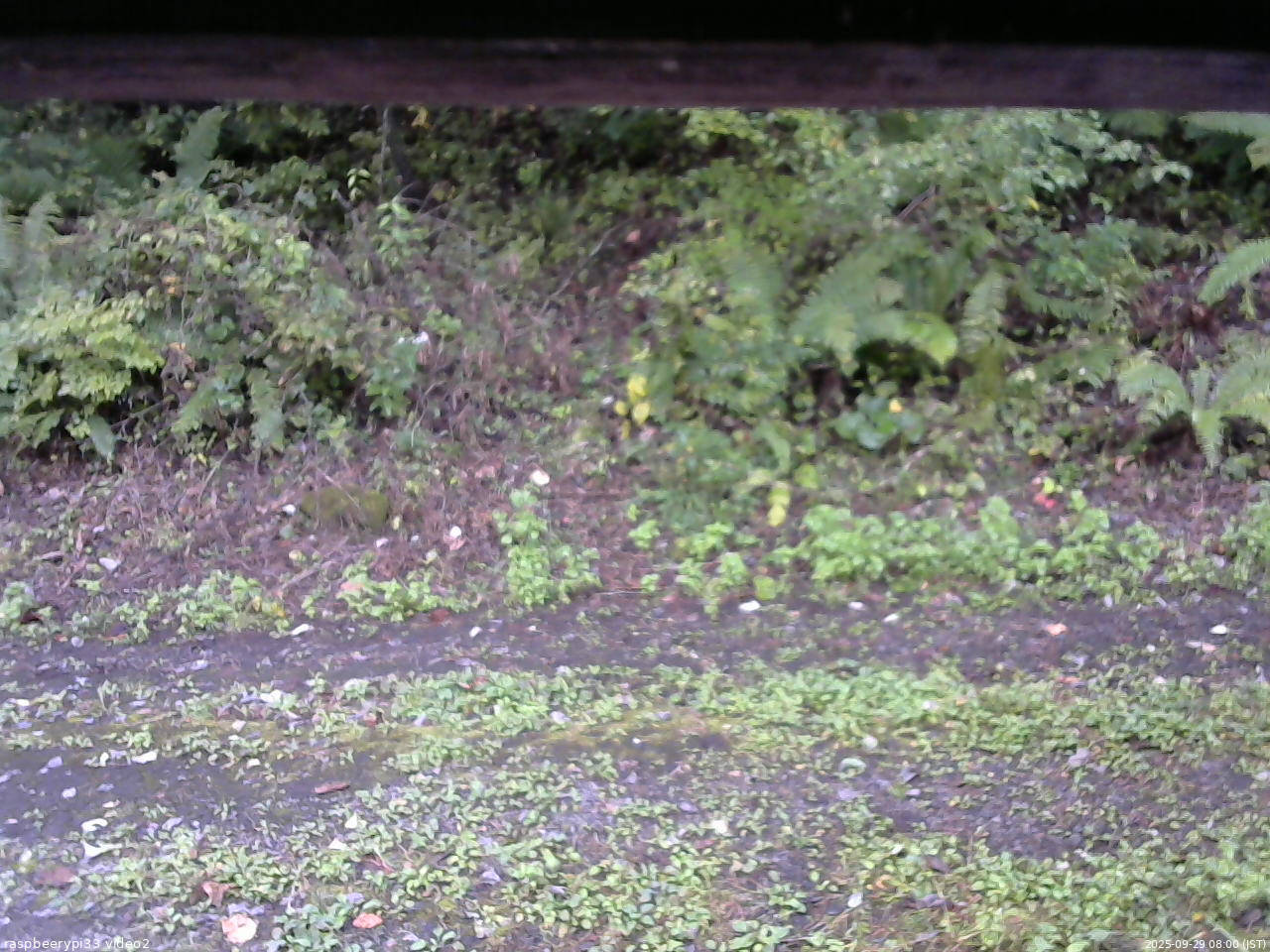 長野県菅平高原 ゆたか山荘 南側 2025/09/29 08:00