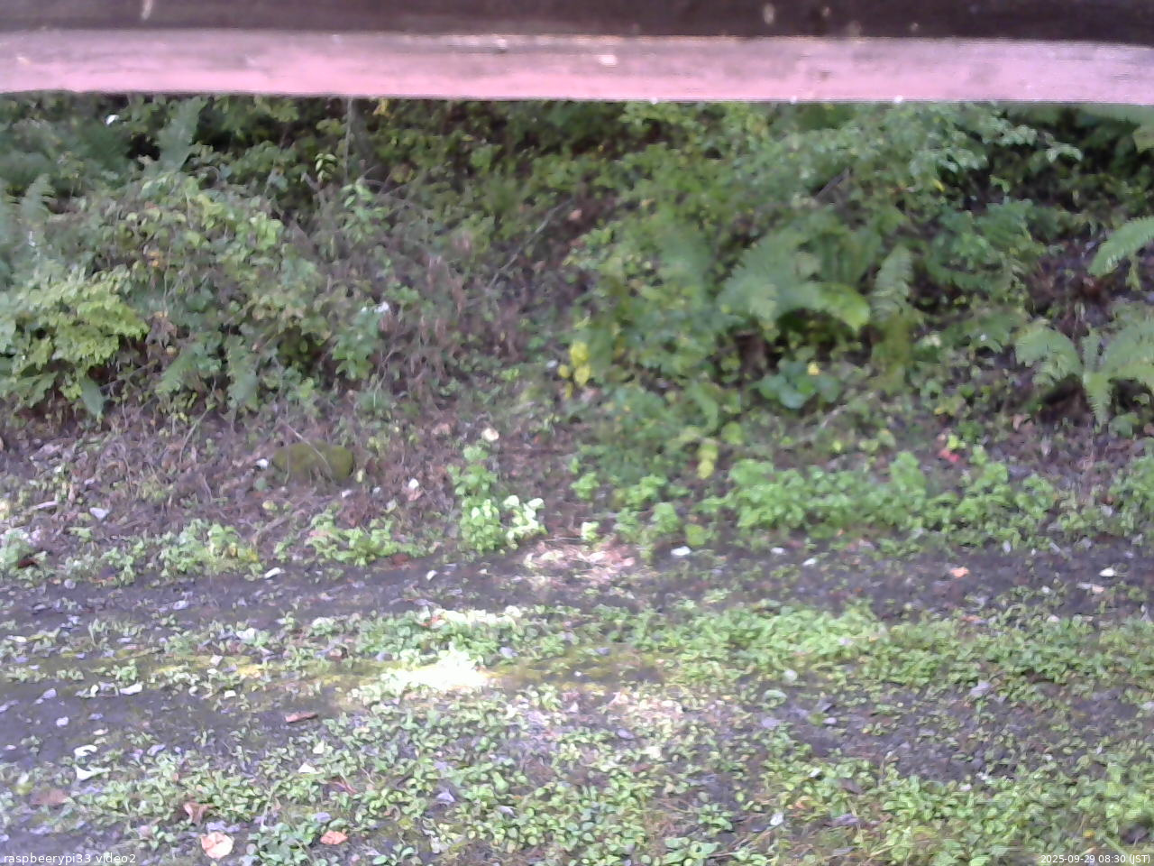 長野県菅平高原 ゆたか山荘 南側 2025/09/29 08:30
