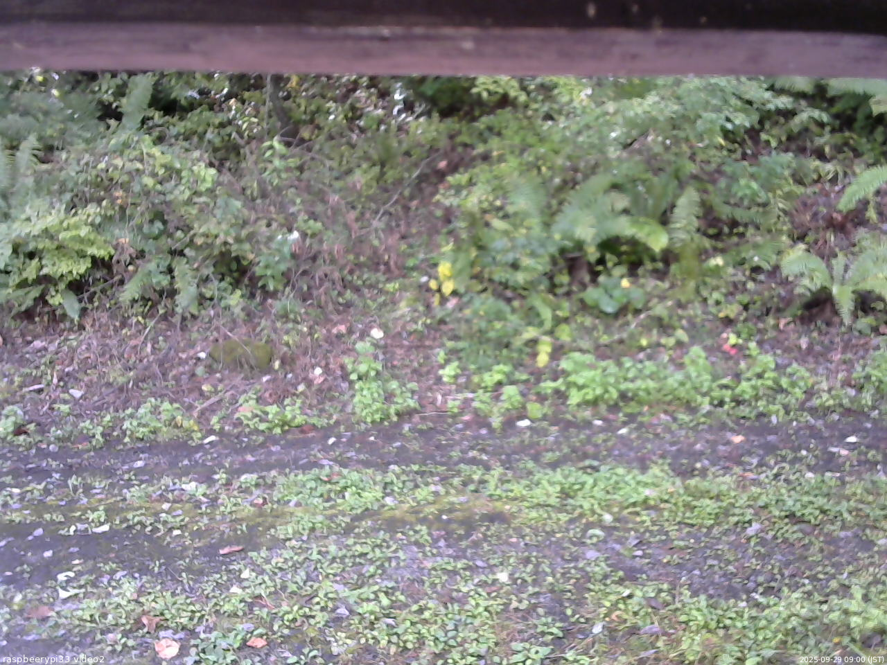 長野県菅平高原 ゆたか山荘 南側 2025/09/29 09:00