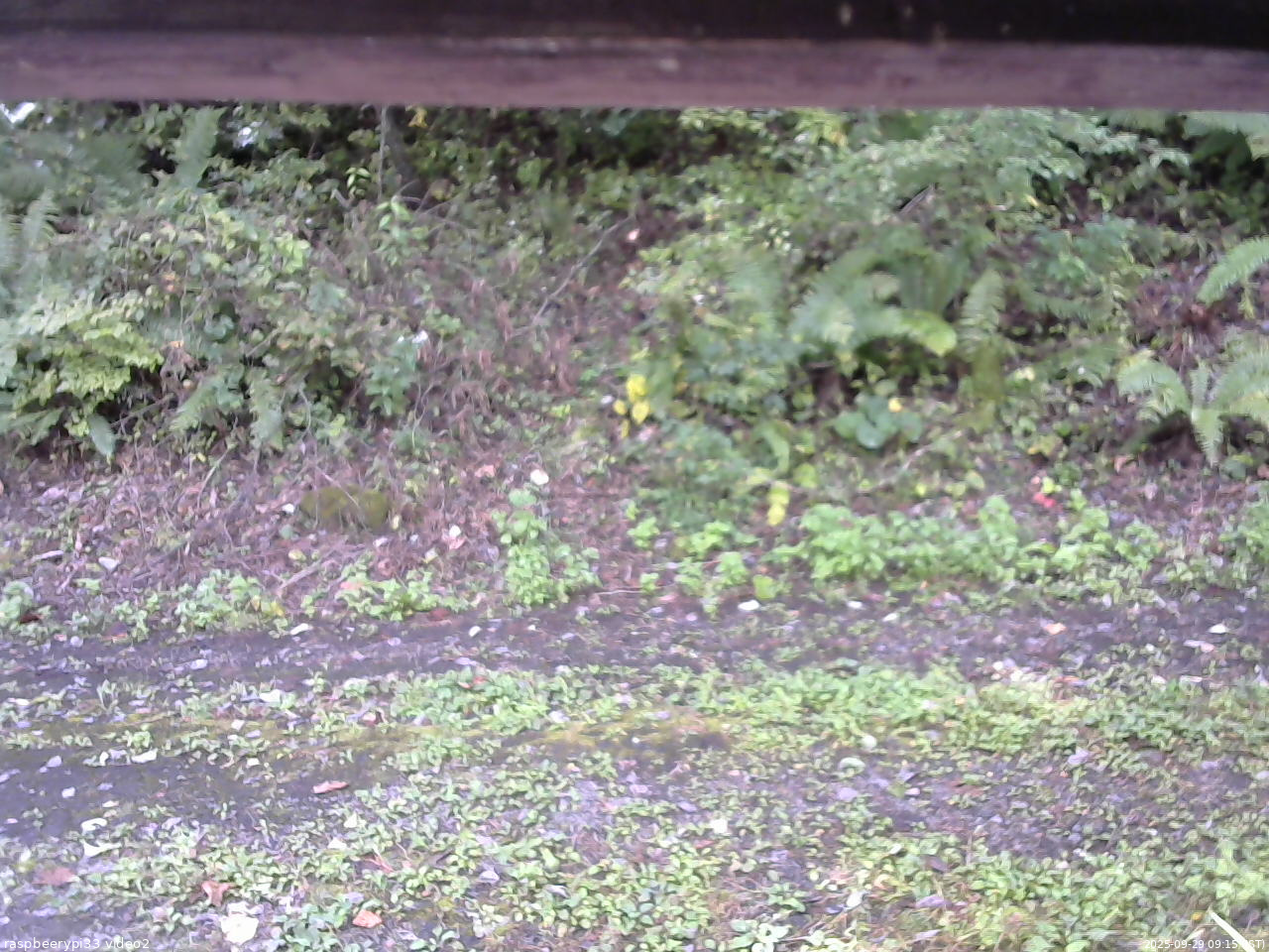 長野県菅平高原 ゆたか山荘 南側 2025/09/29 09:15