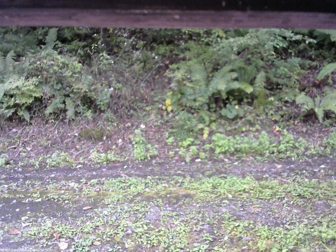 長野県菅平高原 ゆたか山荘 南側 2025/09/29 09:45