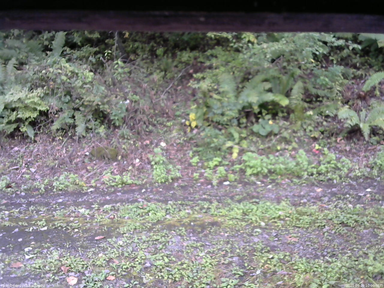 長野県菅平高原 ゆたか山荘 南側 2025/09/29 10:00