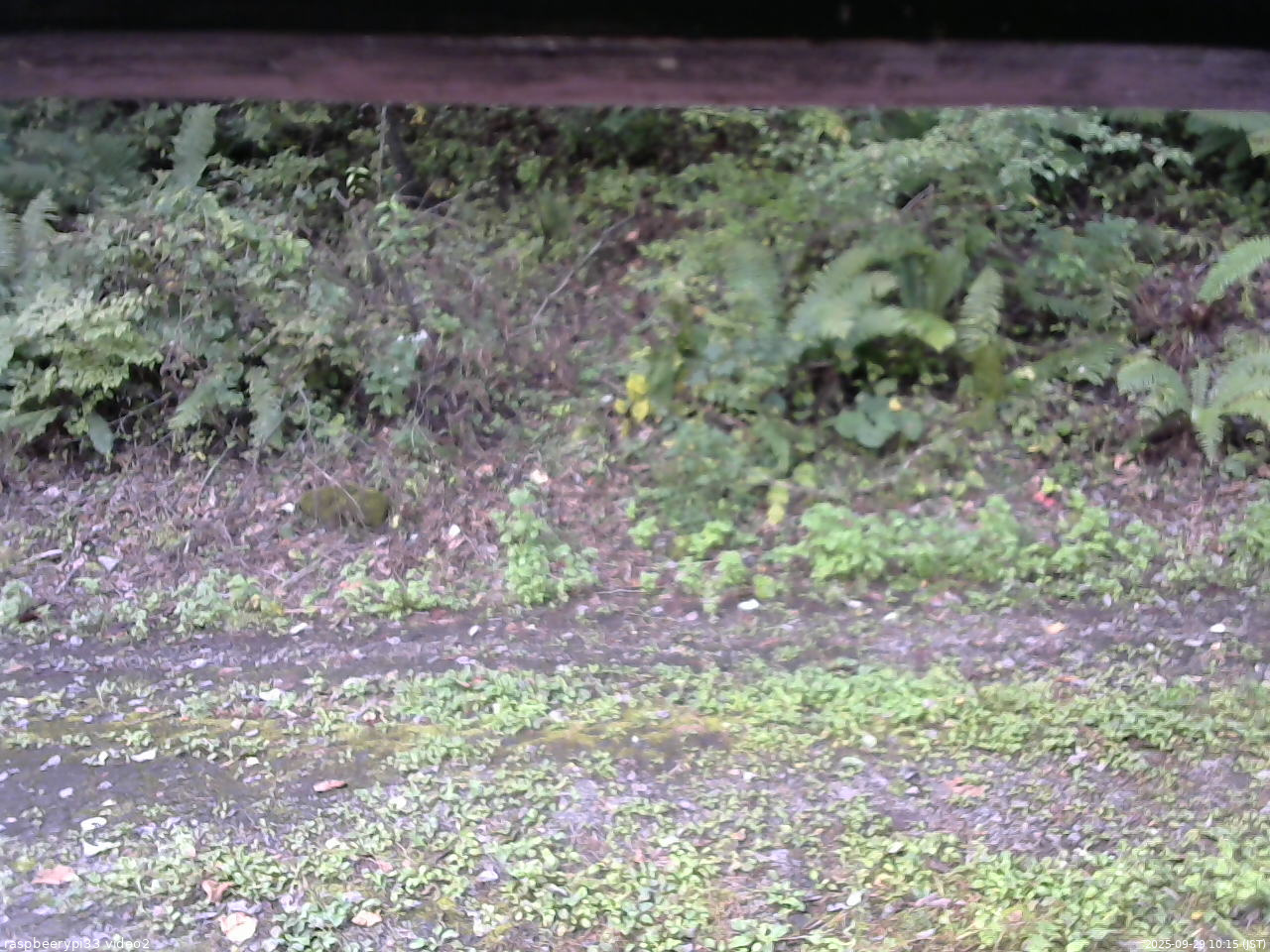 長野県菅平高原 ゆたか山荘 南側 2025/09/29 10:15