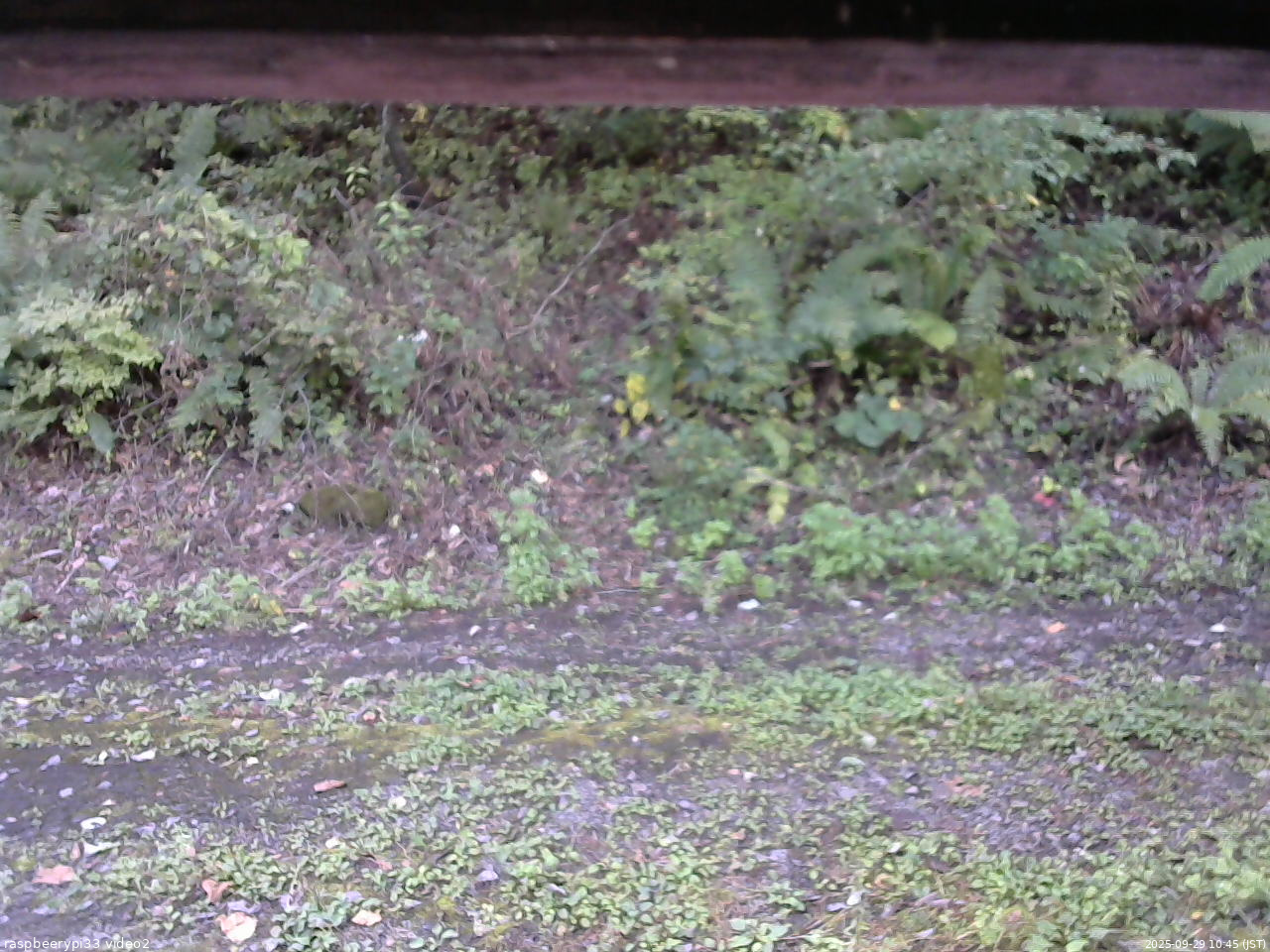長野県菅平高原 ゆたか山荘 南側 2025/09/29 10:45