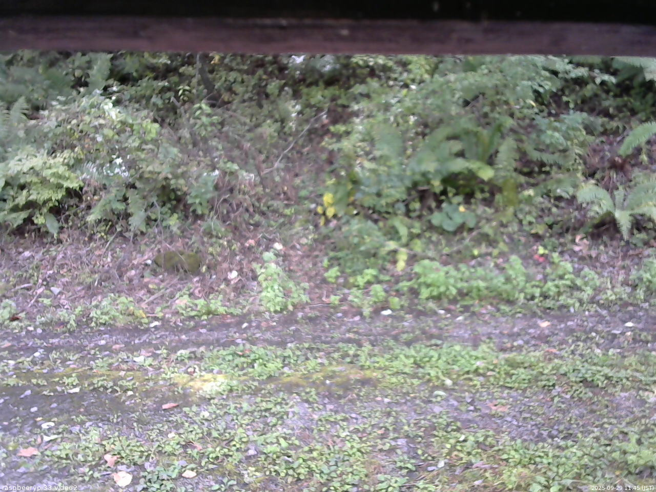 長野県菅平高原 ゆたか山荘 南側 2025/09/29 11:45