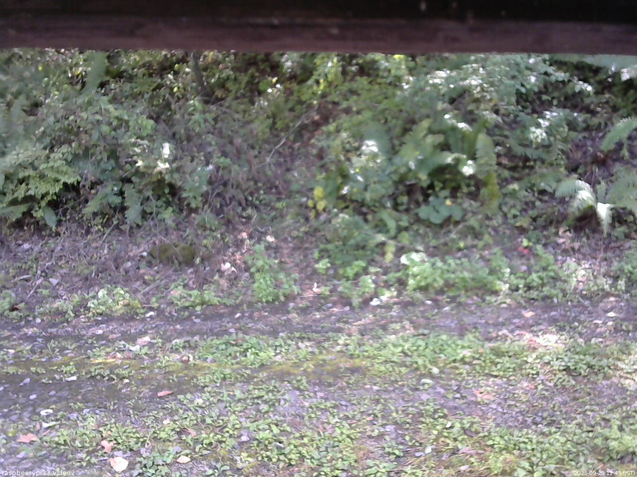 長野県菅平高原 ゆたか山荘 南側 2025/09/29 12:45
