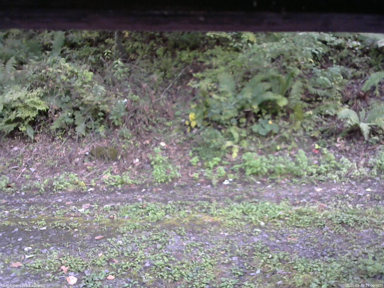 長野県菅平高原 ゆたか山荘 南側 2025/09/29 13:00