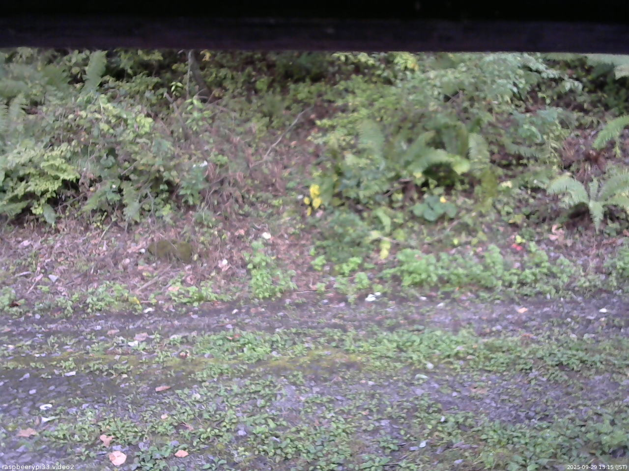長野県菅平高原 ゆたか山荘 南側 2025/09/29 13:15