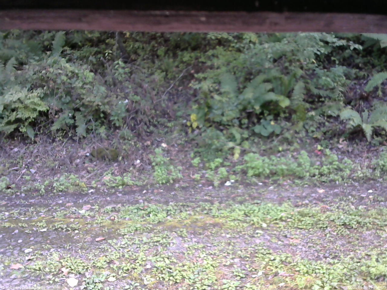 長野県菅平高原 ゆたか山荘 南側 2025/09/29 13:30