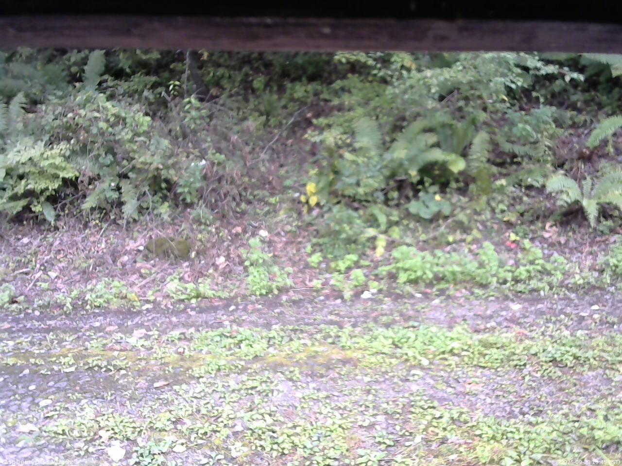 長野県菅平高原 ゆたか山荘 南側 2025/09/29 13:45