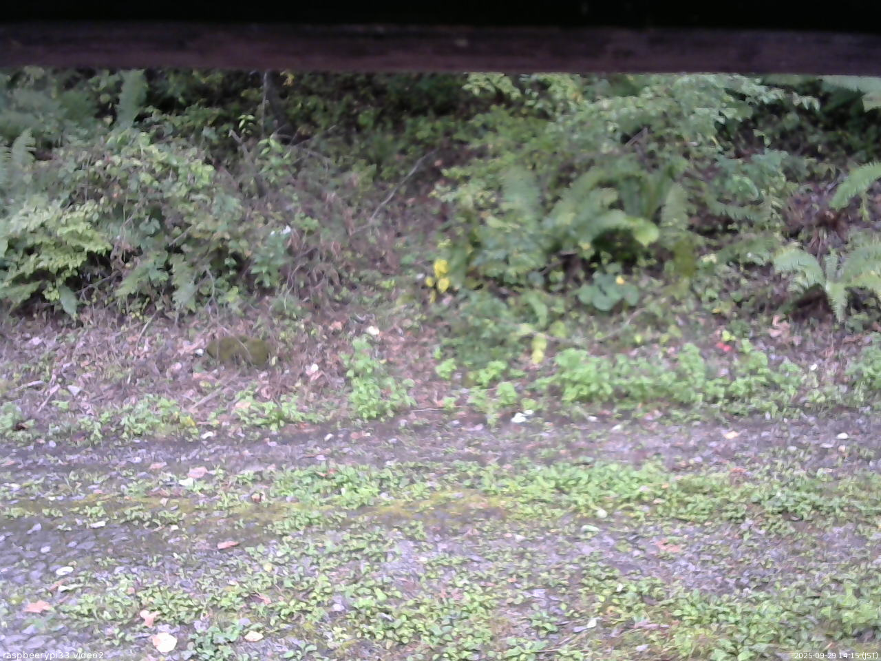長野県菅平高原 ゆたか山荘 南側 2025/09/29 14:15