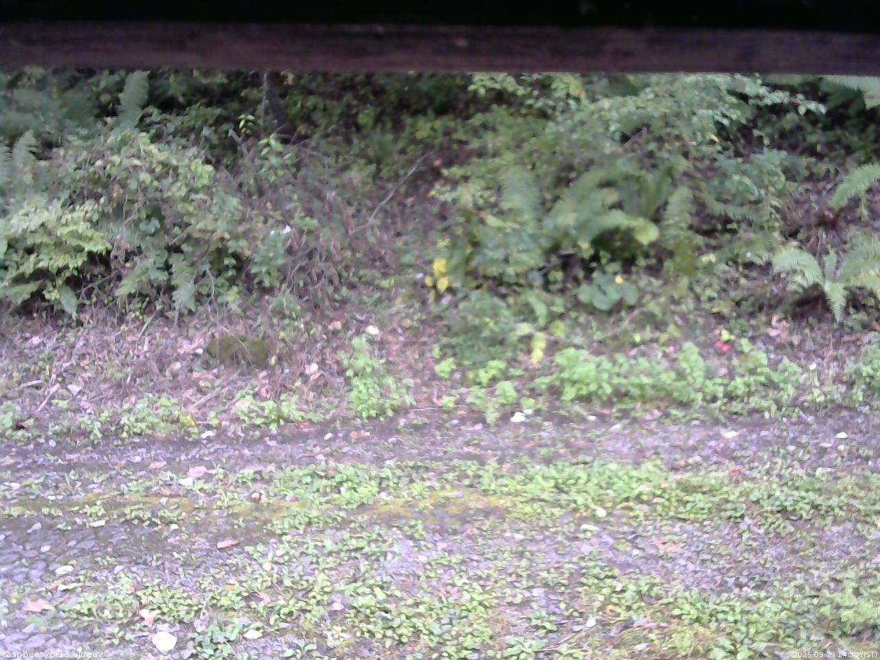 長野県菅平高原 ゆたか山荘 南側 2025/09/29 14:30