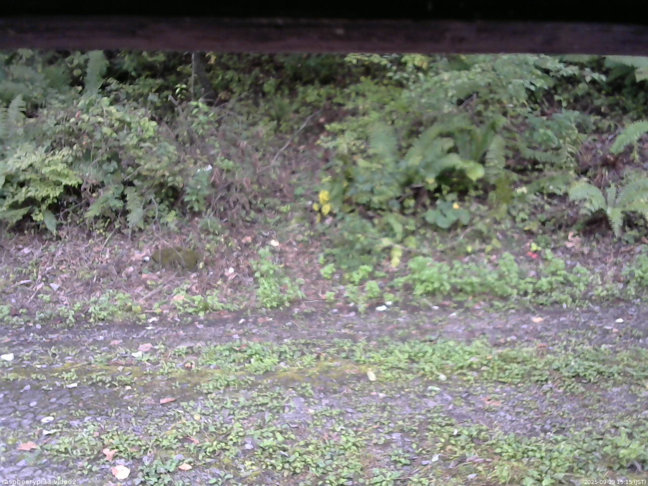 長野県菅平高原 ゆたか山荘 南側 2025/09/29 15:15