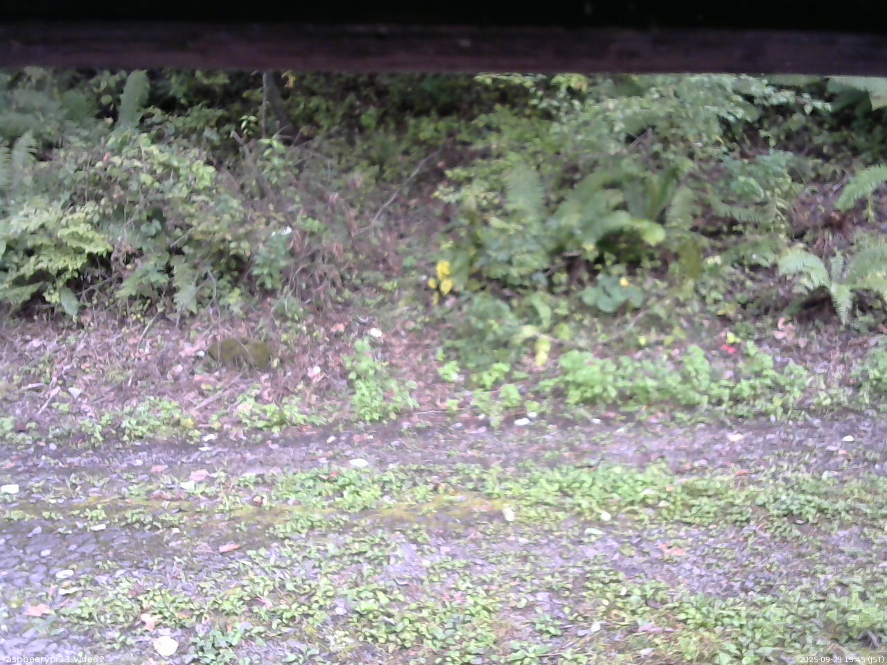 長野県菅平高原 ゆたか山荘 南側 2025/09/29 15:45