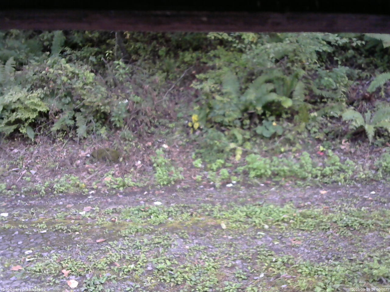 長野県菅平高原 ゆたか山荘 南側 2025/09/29 16:00