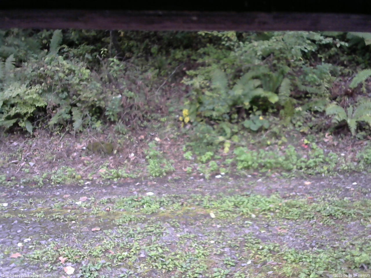 長野県菅平高原 ゆたか山荘 南側 2025/09/29 17:00