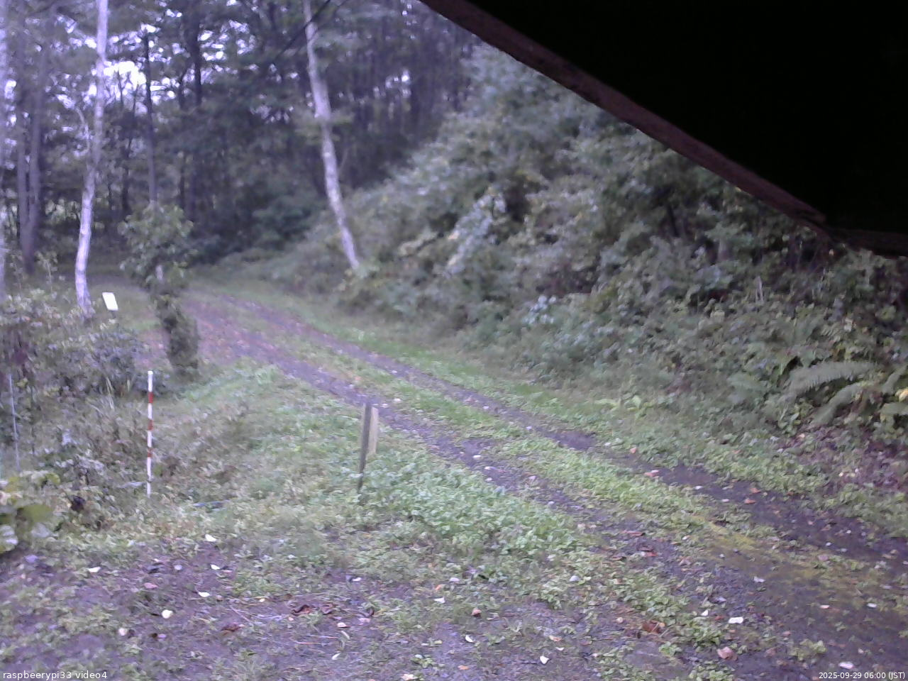 長野県菅平高原 ゆたか山荘 東側(坂下) 2025/09/29 06:00